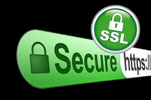 Opensoft e-Leave uses SSL security